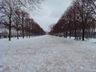 The Tuileries under snow