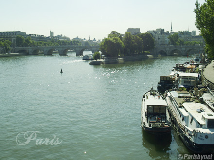 Pont-Neuf, le de la Cit