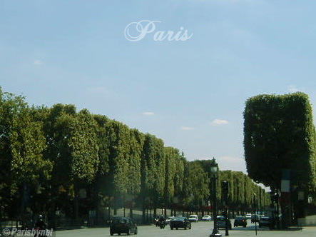 Concorde, Champs-Elyses