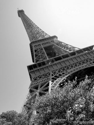 The Eiffel Tower