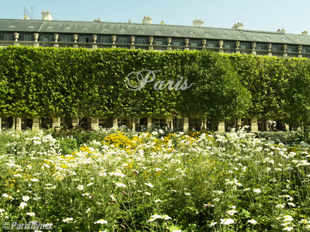 Jardins du Palais Royal