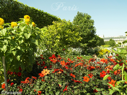 Jardins du Palais Royal